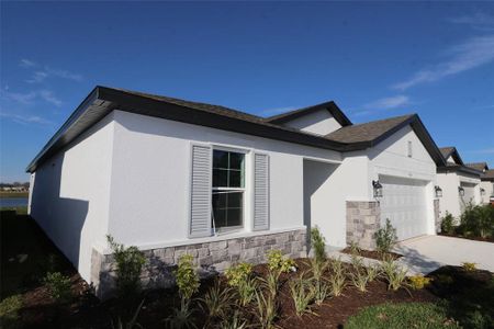 New construction Single-Family house 9909 Last Light Glen, Parrish, FL 34219 Sentinel- photo