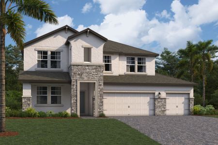 New construction Single-Family house 31979 Sapna Chime Drive, Wesley Chapel, FL 33543 - photo 10 10