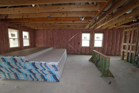 New construction Single-Family house 203 Castle Rock Drive, Melissa, TX 75454 Bosque- photo 19 19