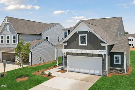 New construction Single-Family house 45 Horseshoe Place, Unit 65, Angier, NC 27501 The Wade- photo 1 1