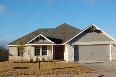 New construction Single-Family house 733 Raylan Street, Springtown, TX 76082 - photo 0 0