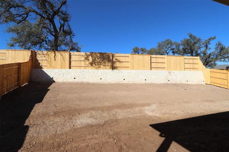 New construction Single-Family house 1105 Calendula Trail, Andice, TX 78628 Paramount- photo 12