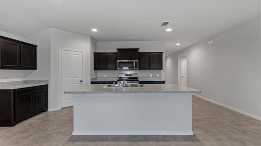 New construction Single-Family house 1412 Razorbill Road, Denton, TX 76205 - photo
