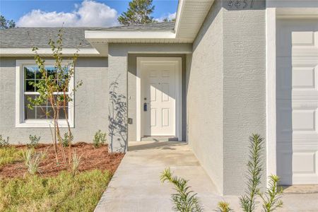 New construction Single-Family house 16990 Sw 42Nd Avenue Road, Ocala, FL 34473 - photo 3 3