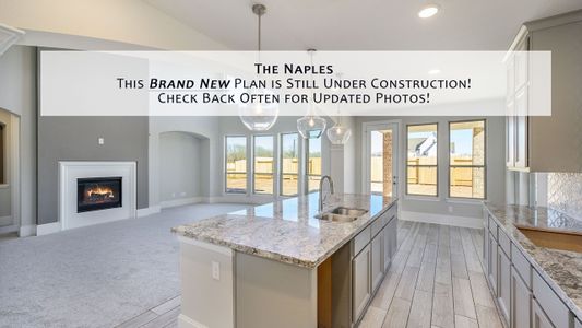 New construction Single-Family house The Naples, 12223 Drummond Maple Drive, Humble, TX 77346 - photo