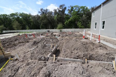 New construction Single-Family house 2530 Sunny Pebble Loop, Zephyrhills, FL 33540 Salinas- photo 6 6