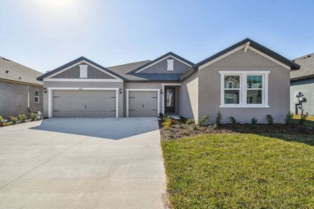 New construction Single-Family house 748 Tierra Dr., Spring Hill, FL 34609 - photo 4 4