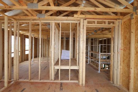 New construction Single-Family house 2885 Misty Marble Drive, Zephyrhills, FL 33540 Herrera- photo 44 44
