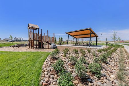 New construction Single-Family house 168 Ash Circle, Erie, CO 80516 Sycamore Villa- photo 22 22