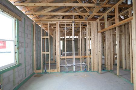 New construction Single-Family house 4837 Foxglove Circle, Lakeland, FL 33811 Picasso- photo 14 14