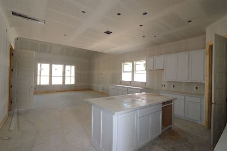 New construction Single-Family house 1037 Pansy Trail, Georgetown, TX 78628 Belmont II- photo 6 6
