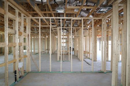 New construction Single-Family house 32568 Sapna Chime Drive, Wesley Chapel, FL 33545 Barcello- photo 24 24