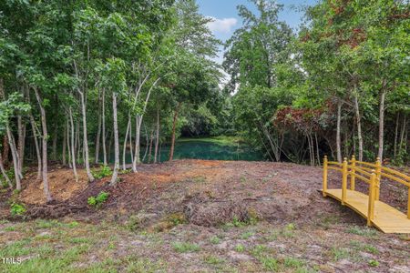 New construction Single-Family house 172 Santa Rosa Way, Four Oaks, NC 27524 - photo 38 38