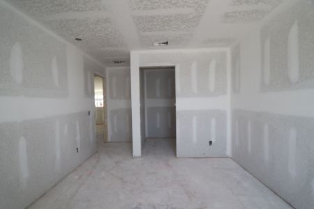 New construction Single-Family house 32521 Sapna Chime Drive, Wesley Chapel, FL 33545 Mira Lago- photo 17 17