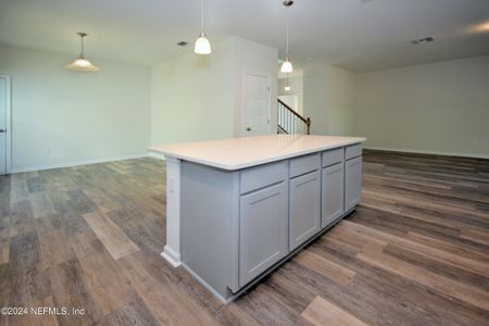 New construction Single-Family house 217 Herbert Douglas Drive, Fernandina Beach, FL 32034 - photo 14 14