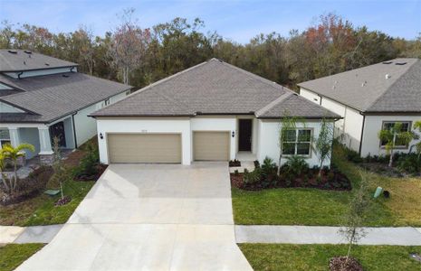 New construction Single-Family house 13031 David Baker Road, Riverview, FL 33579 Easley- photo 0