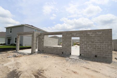 New construction Single-Family house 9635 Crescent Ray Drive, Wesley Chapel, FL 33545 Mira Lago- photo 21 21