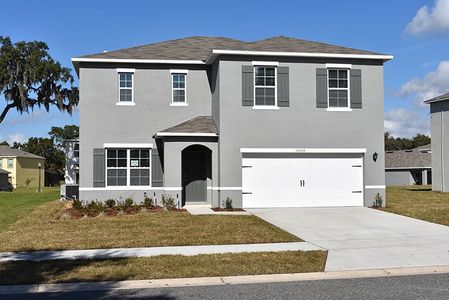 New construction Single-Family house 3220 Blue Crab Drive, Tavares, FL 32778 - photo 24 24