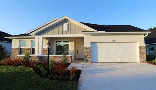 New construction Single-Family house 32334 Carmela Circle South, San Antonio, FL 33576 The Whaler- photo 2 2