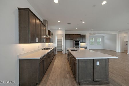 New construction Single-Family house 44822 N 44Th Avenue, Phoenix, AZ 85087 - photo 17 17