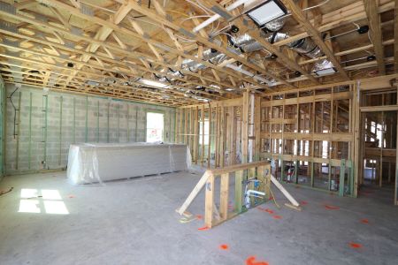 New construction Single-Family house 2463 Sunny Pebble Loop, Zephyrhills, FL 33540 Castellana- photo 47 47