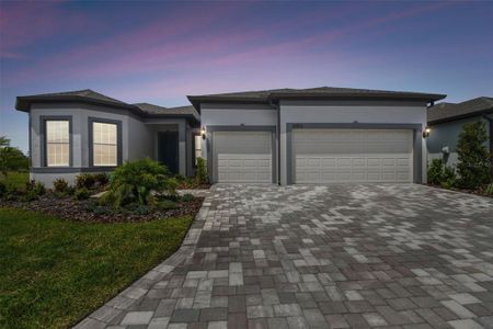 New construction Single-Family house 10513 Sea Pines Place, Parrish, FL 34219 - photo 2 2