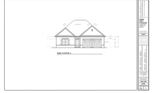 New construction Single-Family house Etowah Hip, 240 Brookstone Trail, Dawsonville, GA 30534 - photo