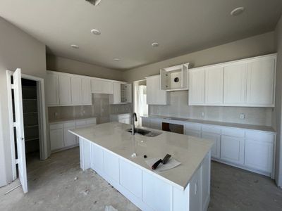 New construction Single-Family house 121 Red Cliff Court, New Fairview, TX 76078 Camellia- photo 40 40