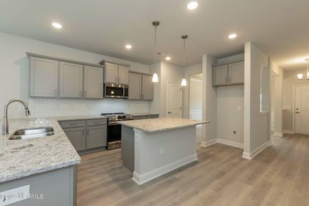 New construction Single-Family house 1633 Fire Tower Road, Sanford, NC 27330 - photo 9 9