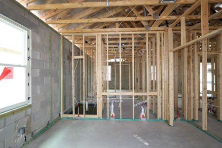 New construction Single-Family house 31843 Sapna Chime Drive, Wesley Chapel, FL 33545 Picasso- photo 5 5