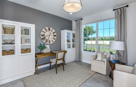 Parkview Reserve by Pulte Homes in Doctor Phillips - photo 21