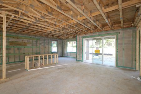 New construction Single-Family house 12114 Hilltop Farms Drive, Dade City, FL 33525 Alenza- photo 43 43