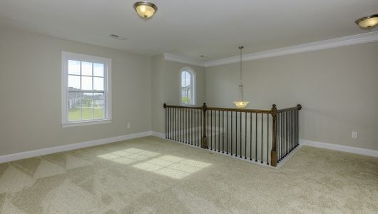 New construction Single-Family house 3353 Nc 16 Business Highway, Denver, NC 28037 - photo 30 30