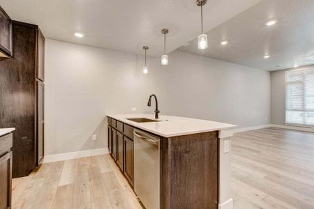 New construction Multi-Family house 827 Schlagel Street, Fort Collins, CO 80524 - photo 5 5