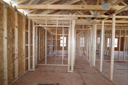New construction Single-Family house 31870 Sapna Chime Drive, Wesley Chapel, FL 33545 Casanova- photo 20 20