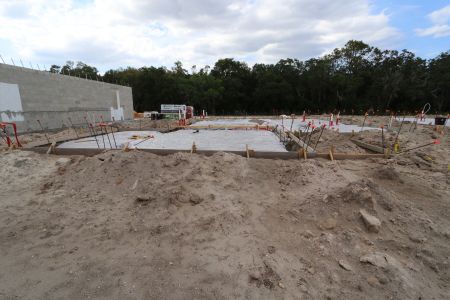 New construction Single-Family house 5020 Bromeliad Avenue, Wimauma, FL 33598 Alenza- photo 7 7