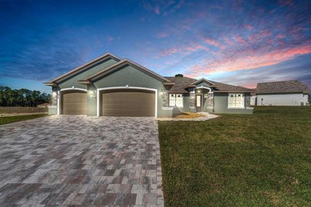 New construction Single-Family house 17887 Sw 72Nd Street Road, Dunnellon, FL 34432 - photo 0