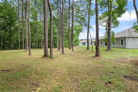 New construction Single-Family house 15303 Nw 121St Place, Alachua, FL 32615 - photo 32 32