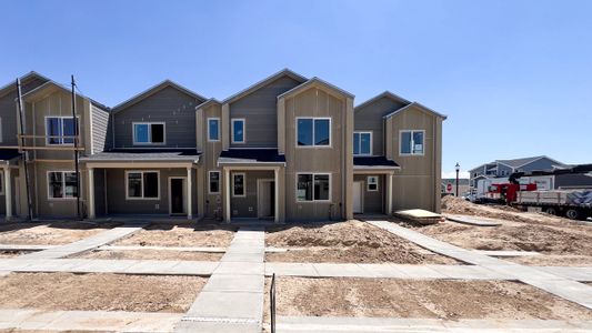 New construction Single-Family house 3749 Sequoia Ct, Evans, CO 80620 Westcliffe- photo 23 23