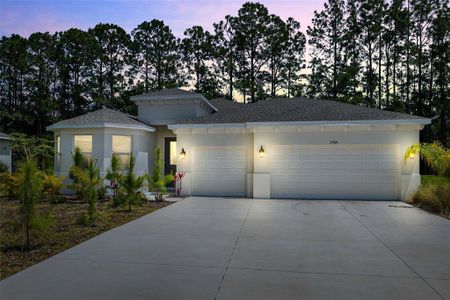 New construction Single-Family house 2909 Gator Crossing Place, New Port Richey, FL 34655 - photo 0 0