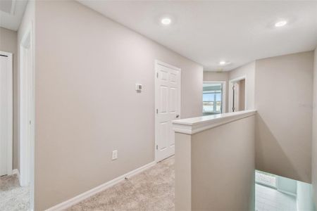 New construction Townhouse house 5625 Tripoli Drive, Palmetto, FL 34221 Alexander - Townhomes- photo 31 31