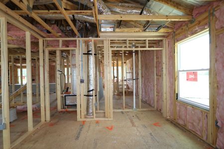 New construction Single-Family house 10603 New Morning Drive, Tampa, FL 33647 Santina II- photo 18 18