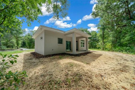 New construction Single-Family house 21658 Sw 102Nd Street Road, Dunnellon, FL 34431 - photo 4 4