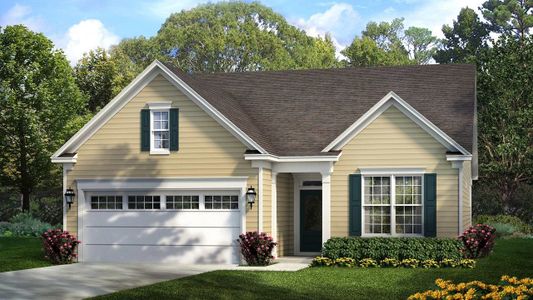 New construction Single-Family house Beechwood, 467 Hundred Oaks Parkway, Summerville, SC 29483 - photo