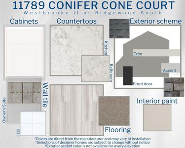 New construction Single-Family house 11789 Conifer Cone Court, Riverview, FL 33579 - photo 20 20