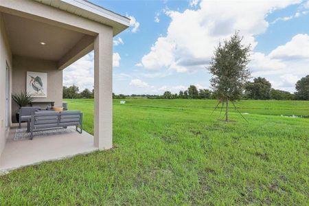 New construction Single-Family house 1165 Majesty Palm Circle, Deland, FL 32720 The Webber- photo 35 35