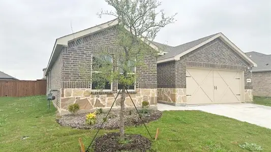 New construction Single-Family house 6205 Bebington Drive, Celina, TX 75009 H158 Canyon- photo 0 0
