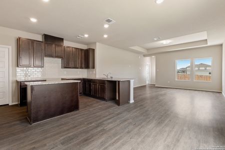 New construction Single-Family house 200 Antelope Valley, San Antonio, TX 78245 - photo 4 4