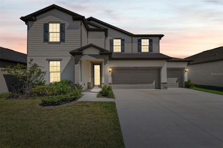 New construction Single-Family house 9422 Ibis Grove Boulevard, Wesley Chapel, FL 33545 - photo 2 2