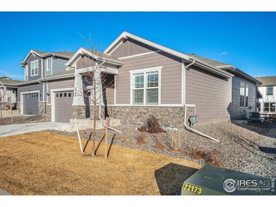 New construction Single-Family house 2129 Bouquet Dr, Windsor, CO 80550 - photo 3 3